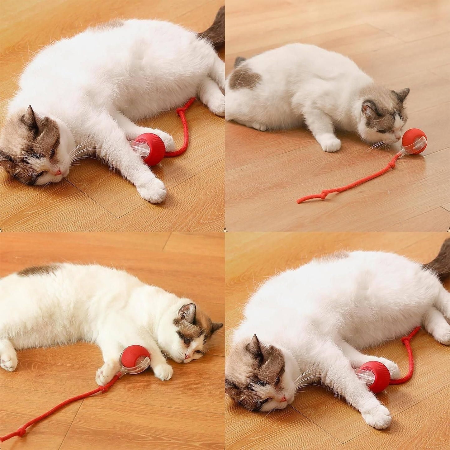 Rolling Ball,Interactive Dog/Cat Ball Toy