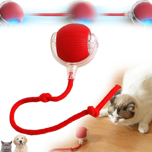 Rolling Ball,Interactive Dog/Cat Ball Toy